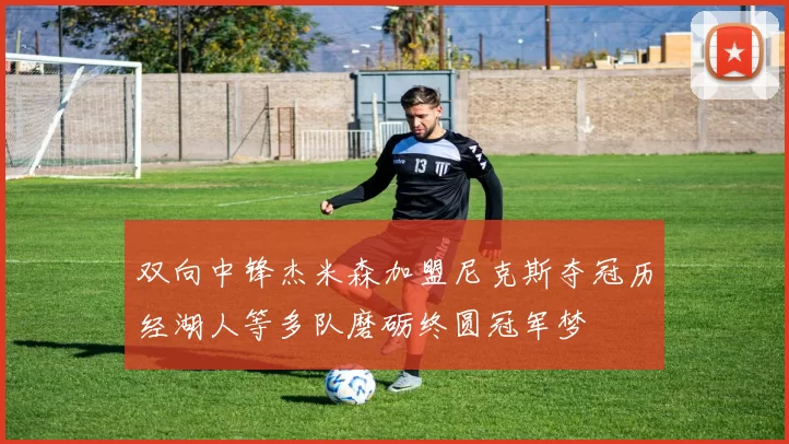 双向中锋杰米森加盟尼克斯夺冠历经湖人等多队磨砺终圆冠军梦